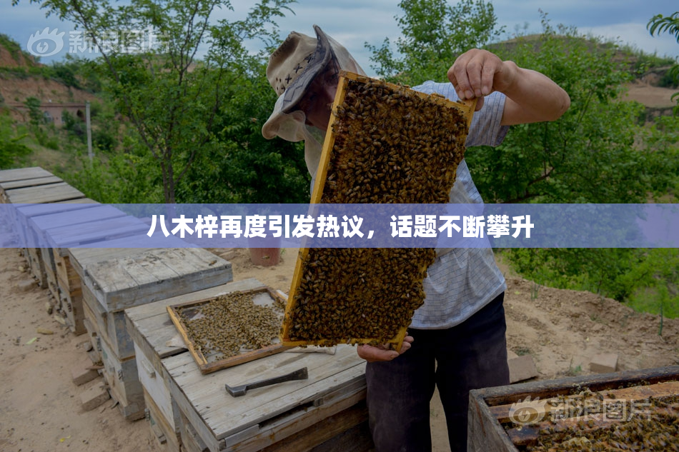 八木梓再度引发热议，话题不断攀升