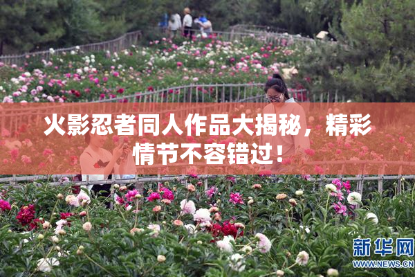 火影忍者同人作品大揭秘，精彩情节不容错过！