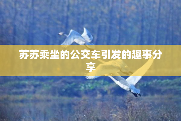 苏苏乘坐的公交车引发的趣事分享