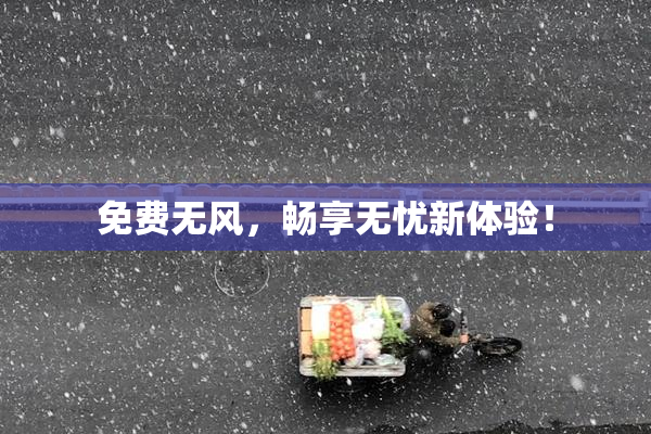 免费无风，畅享无忧新体验！