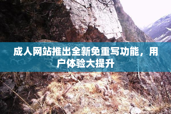成人网站推出全新免重写功能，用户体验大提升