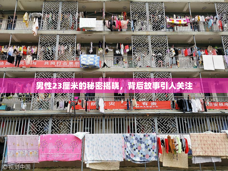 男性23厘米的秘密揭晓，背后故事引人关注