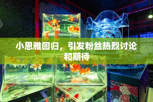 小恩雅回归，引发粉丝热烈讨论和期待