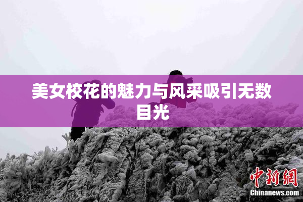 美女校花的魅力与风采吸引无数目光