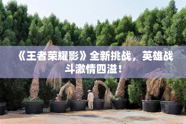 《王者荣耀影》全新挑战，英雄战斗激情四溢！