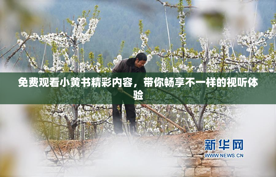 免费观看小黄书精彩内容，带你畅享不一样的视听体验