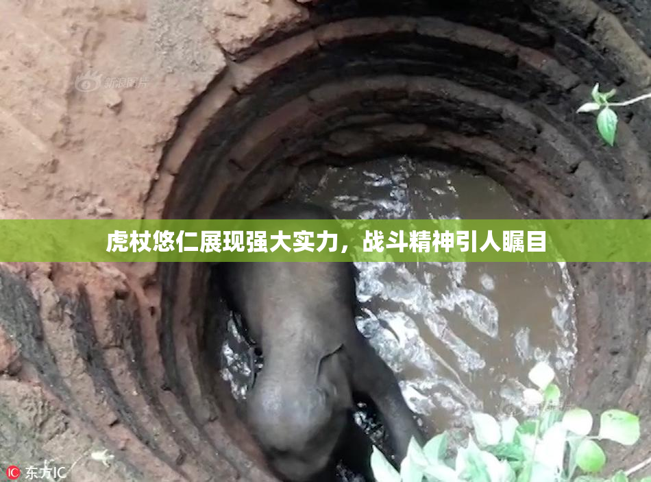 虎杖悠仁展现强大实力，战斗精神引人瞩目