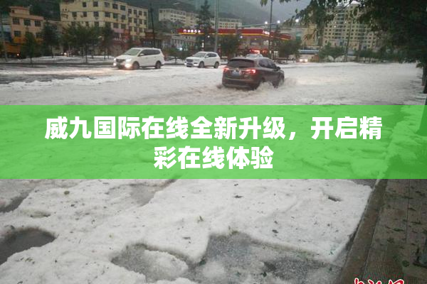 威九国际在线全新升级，开启精彩在线体验