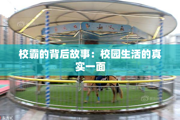 校霸的背后故事：校园生活的真实一面