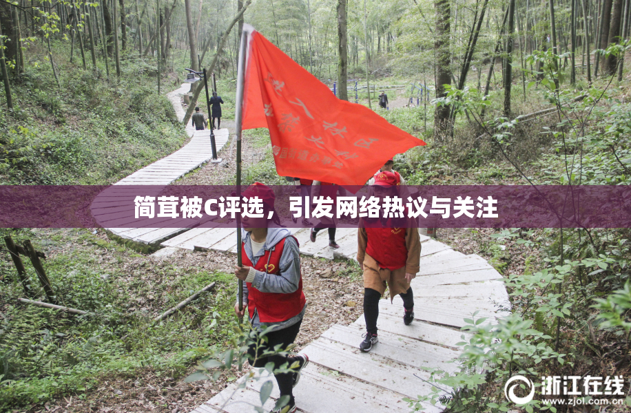简茸被C评选，引发网络热议与关注