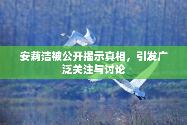 安莉洁被公开揭示真相，引发广泛关注与讨论