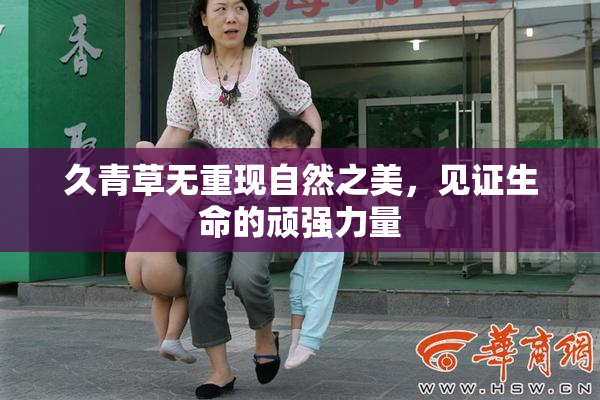 久青草无重现自然之美，见证生命的顽强力量
