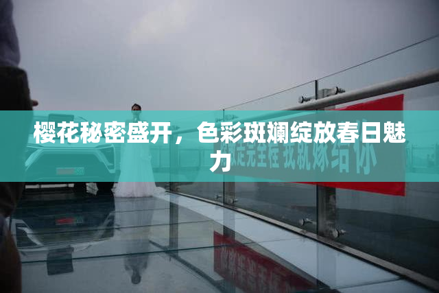 樱花秘密盛开，色彩斑斓绽放春日魅力
