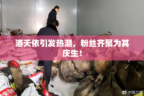 洛天依引发热潮，粉丝齐聚为其庆生！