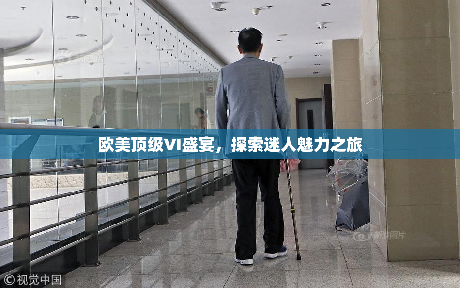 欧美顶级VI盛宴，探索迷人魅力之旅