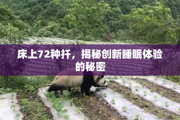 床上72种扦，揭秘创新睡眠体验的秘密