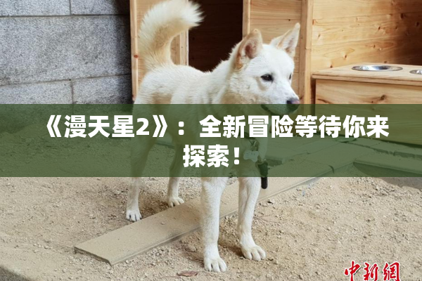 《漫天星2》：全新冒险等待你来探索！