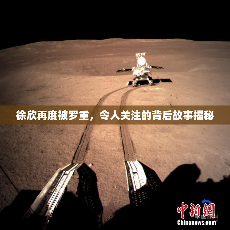 徐欣再度被罗重，令人关注的背后故事揭秘