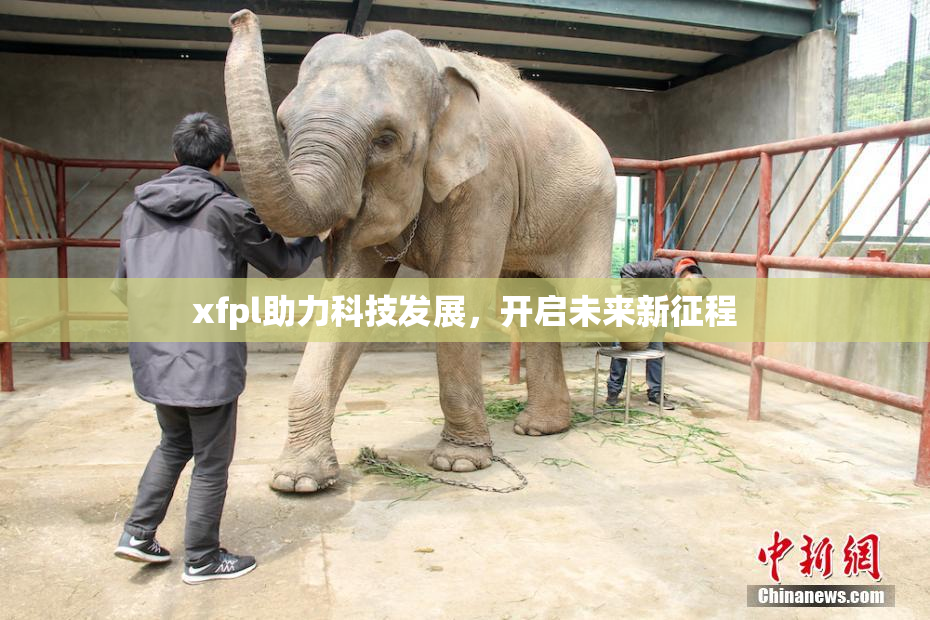 xfpl助力科技发展，开启未来新征程