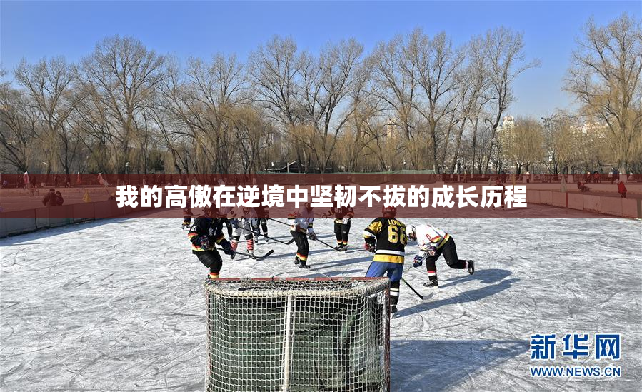 我的高傲在逆境中坚韧不拔的成长历程
