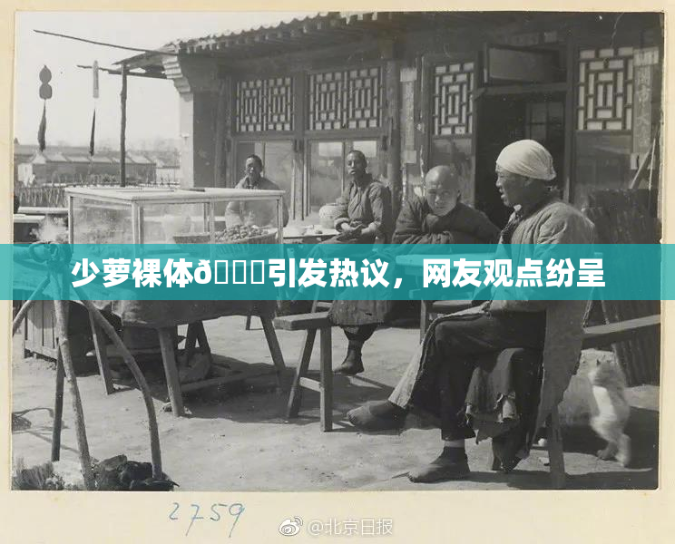 少萝裸体🔞引发热议，网友观点纷呈