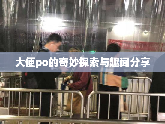 大便po的奇妙探索与趣闻分享