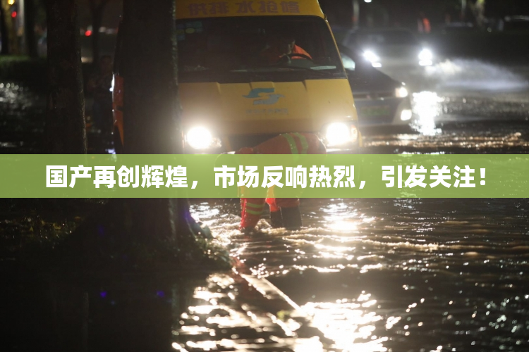 国产再创辉煌，市场反响热烈，引发关注！