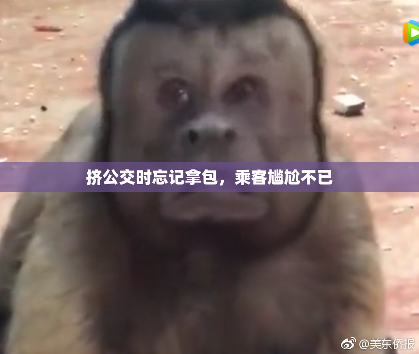 挤公交时忘记拿包，乘客尴尬不已