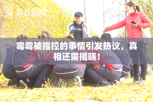 霉霉被指控的事情引发热议，真相还需揭晓！