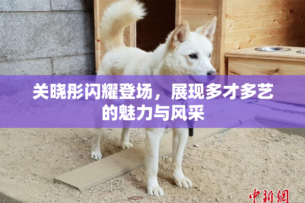 关晓彤闪耀登场，展现多才多艺的魅力与风采