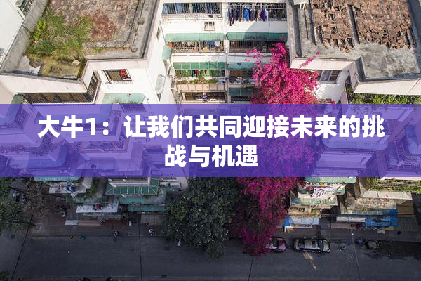 大牛1：让我们共同迎接未来的挑战与机遇