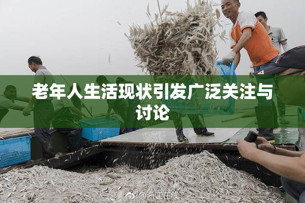 老年人生活现状引发广泛关注与讨论