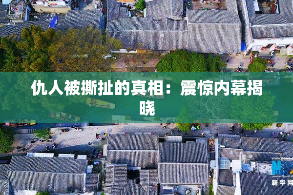 仇人被撕扯的真相：震惊内幕揭晓