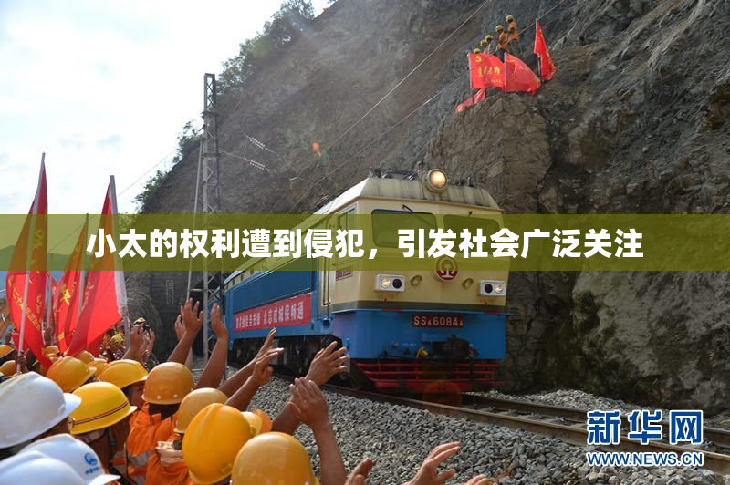 小太的权利遭到侵犯，引发社会广泛关注