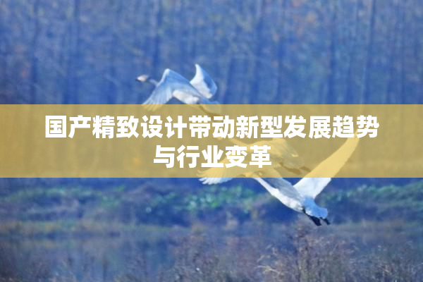 国产精致设计带动新型发展趋势与行业变革