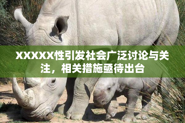 XXXXX性引发社会广泛讨论与关注，相关措施亟待出台