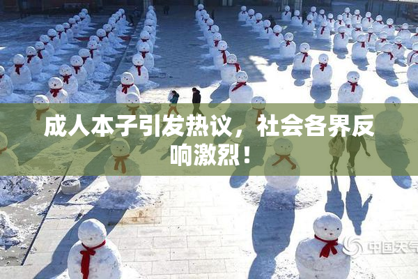 成人本子引发热议，社会各界反响激烈！