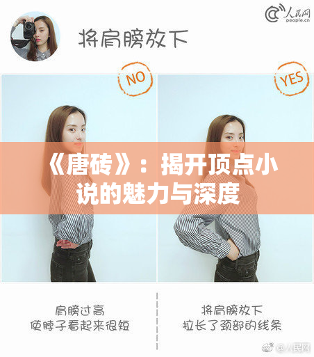 《唐砖》：揭开顶点小说的魅力与深度