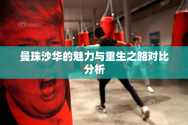 曼珠沙华的魅力与重生之路对比分析