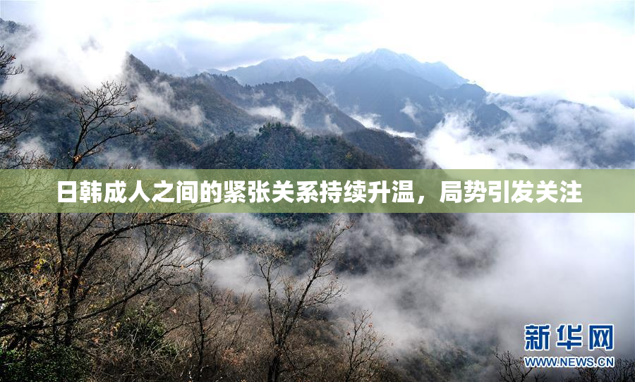日韩成人之间的紧张关系持续升温，局势引发关注