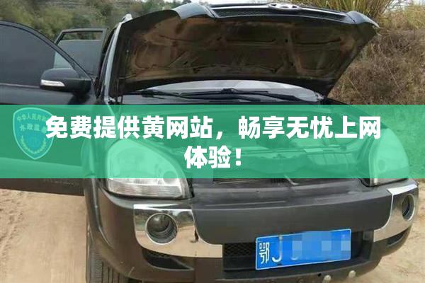 免费提供黄网站，畅享无忧上网体验！