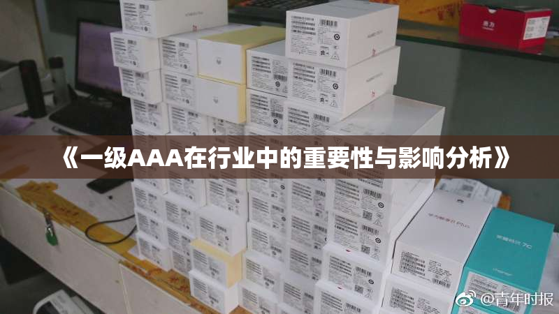 《一级AAA在行业中的重要性与影响分析》