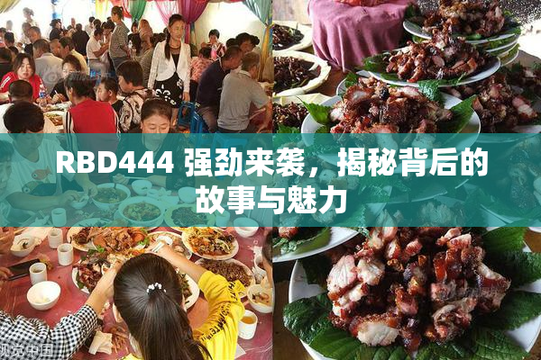 RBD444 强劲来袭，揭秘背后的故事与魅力