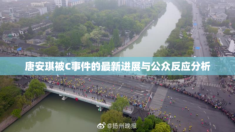 唐安琪被C事件的最新进展与公众反应分析