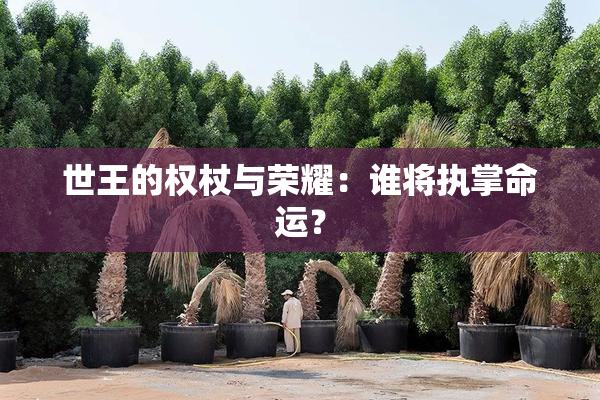 世王的权杖与荣耀：谁将执掌命运？