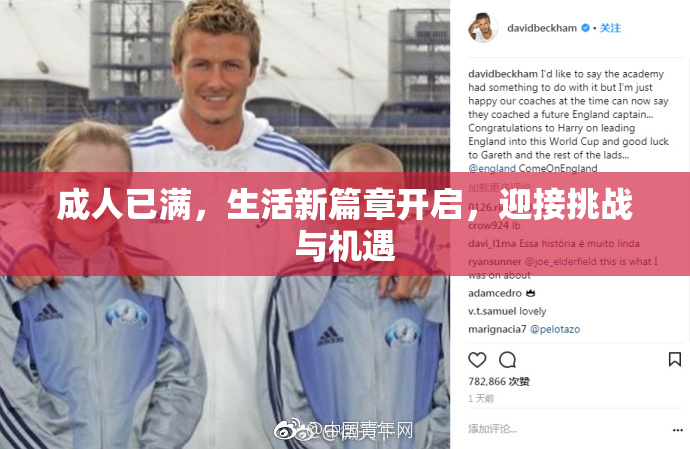成人已满，生活新篇章开启，迎接挑战与机遇