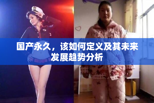 国产永久，该如何定义及其未来发展趋势分析