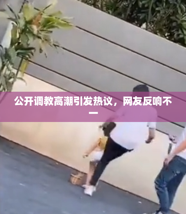 公开调教高潮引发热议，网友反响不一