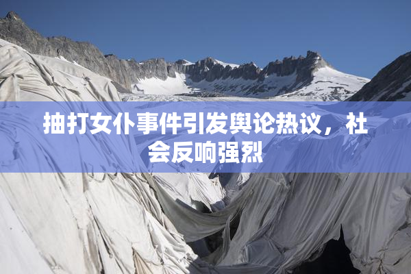 抽打女仆事件引发舆论热议，社会反响强烈