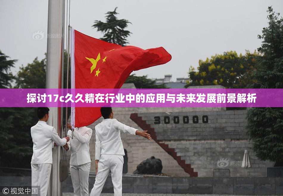 探讨17c久久精在行业中的应用与未来发展前景解析